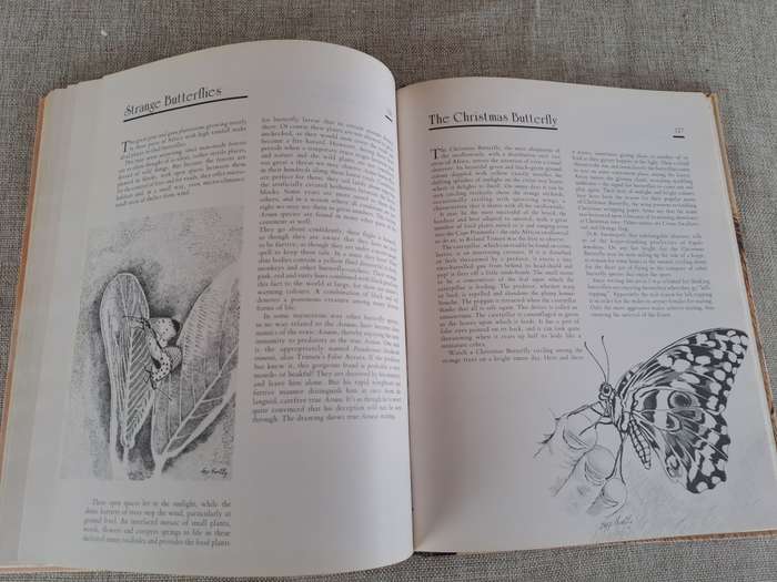 African Wildlife Sketches  Signed copy