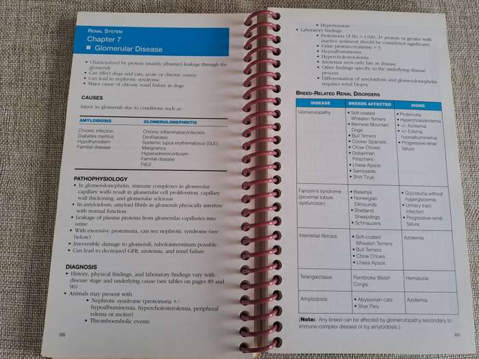 Current Concepts in Clinical Nutrition for Dogs and Cats