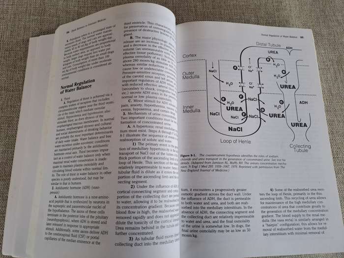 Quick Reference Guide to Veterinary Medicine  2nd Edition