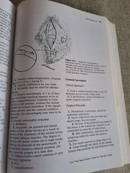 Quick Reference Guide to Veterinary Medicine  2nd Edition
