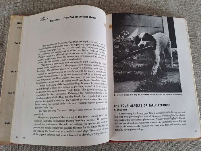 Gun Dog: Revolutionary Rapid Training Method
