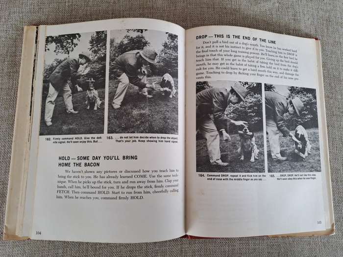 Gun Dog: Revolutionary Rapid Training Method