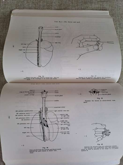 Guide to Dissection - HGQ Rowett