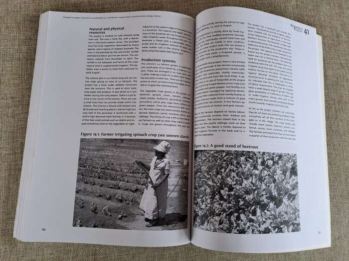 Research Report 41: Strategies to support South African smallholders as a contribution to government