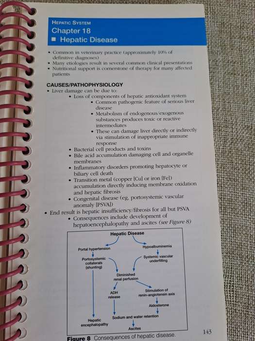 Current Concepts in Clinical Nutrition for Dogs and Cats