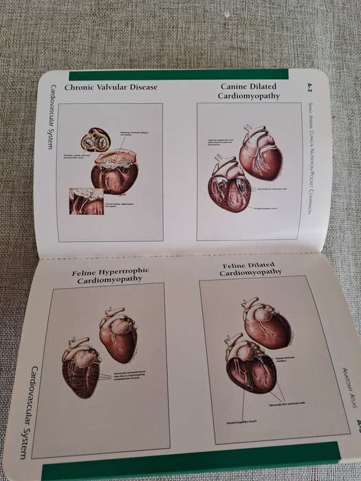 Pocket Companion to Small Animal Clinical Nutrition 4th Edition -  Bruce J. Novotny, Michael S. Hand