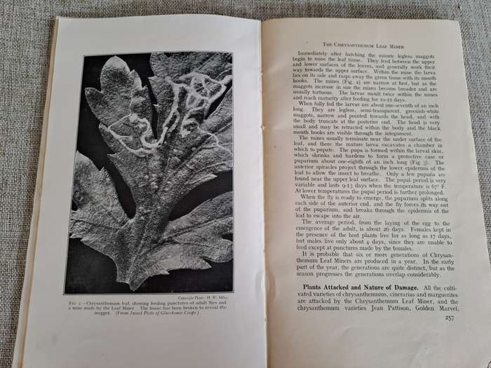 The Journal of the Ministry of Agriculture  set of 4 volumes