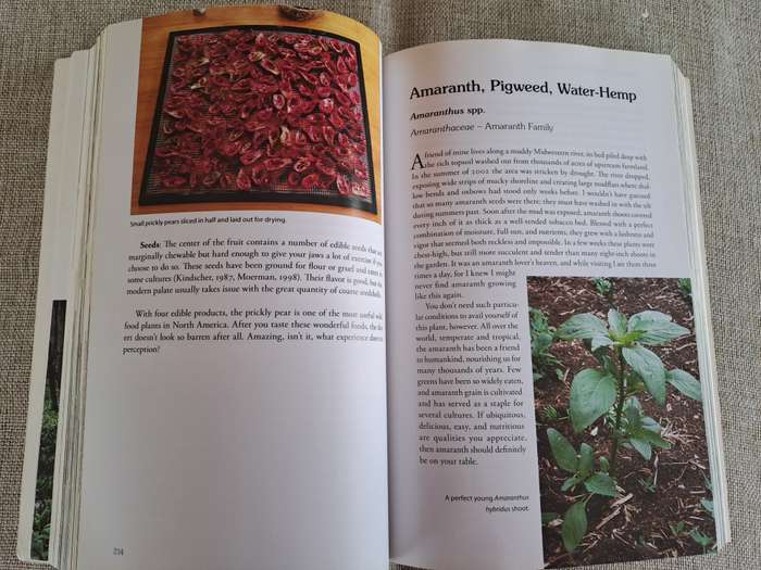 Natures Garden: A Guide to Identifying, Harvesting, and Preparing Edible Wild Plants