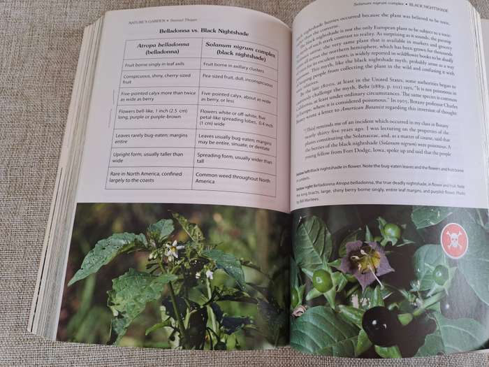 Natures Garden: A Guide to Identifying, Harvesting, and Preparing Edible Wild Plants