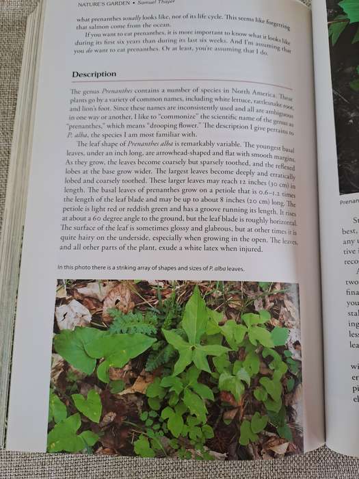 Natures Garden: A Guide to Identifying, Harvesting, and Preparing Edible Wild Plants