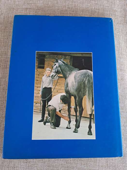 Horse Ailments and Health Care
