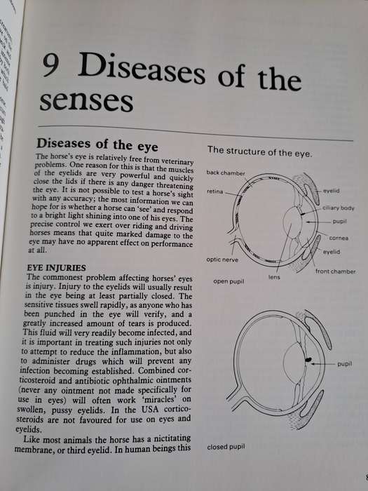 Horse Ailments and Health Care