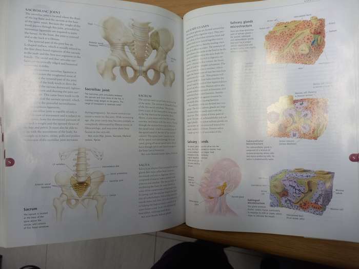 Anatomica: The Complete Home Medical Reference