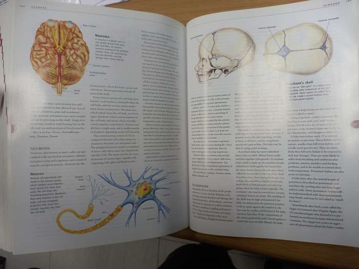 Anatomica: The Complete Home Medical Reference