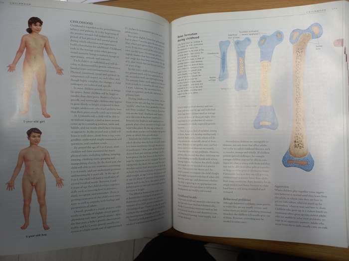 Anatomica: The Complete Home Medical Reference