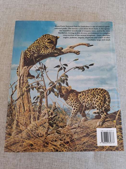 African Seasons: Wildlife at the Waterhole - Craig Bone