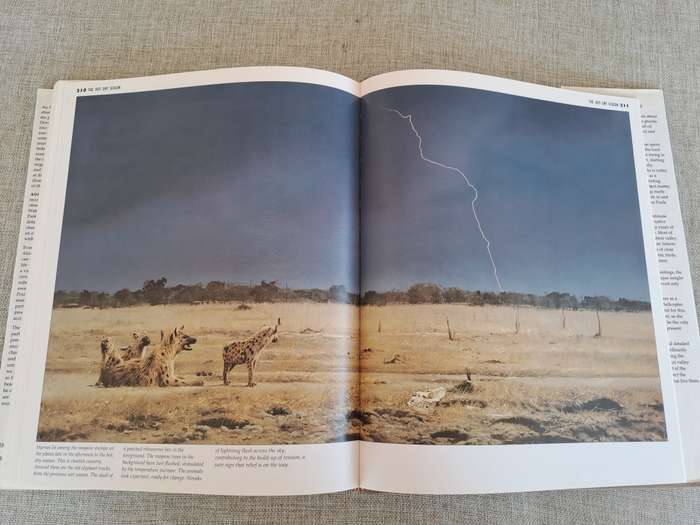 African Seasons: Wildlife at the Waterhole - Craig Bone
