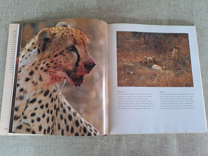 Kruger: Images of a Great African Park
