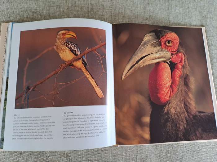 Kruger: Images of a Great African Park