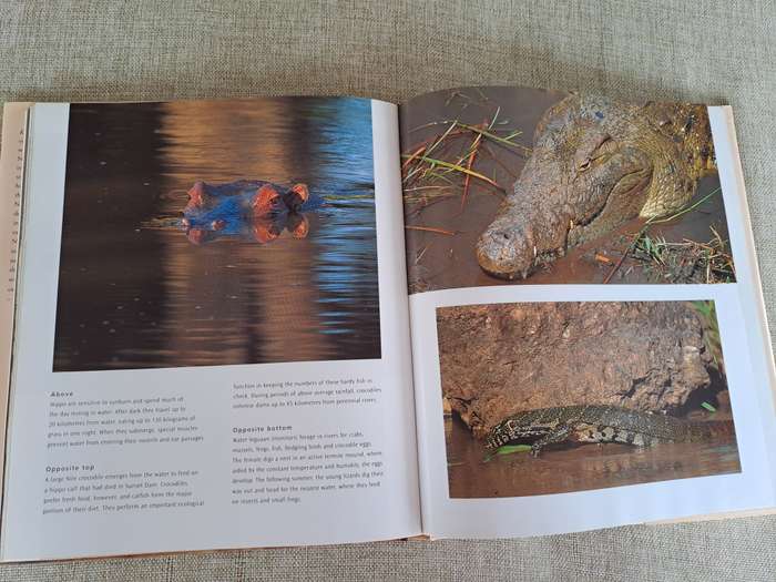 Kruger: Images of a Great African Park
