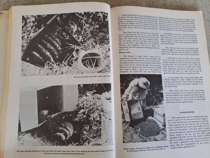 Beekeeping in South Africa  Bulletin No. 394