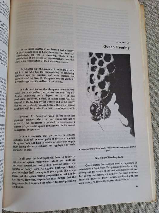 Beekeeping in South Africa  Bulletin No. 394