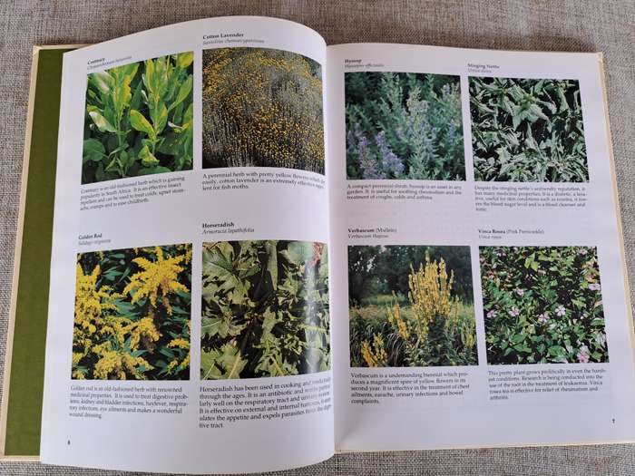 A-Z of Herbs - Margaret Roberts