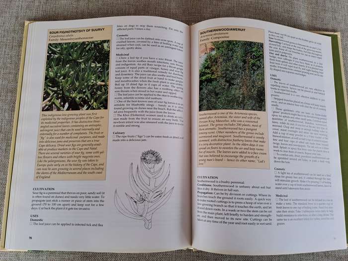 A-Z of Herbs - Margaret Roberts