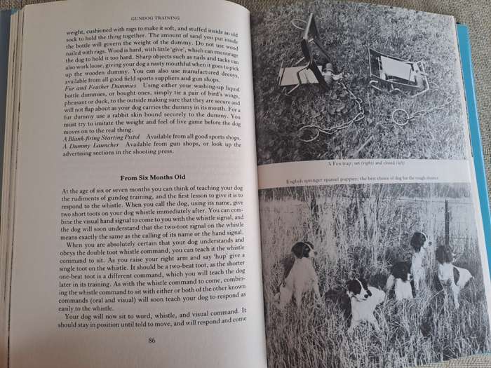 The Sporting gun -J ames Douglas