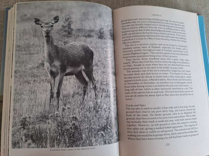 The Sporting gun -J ames Douglas