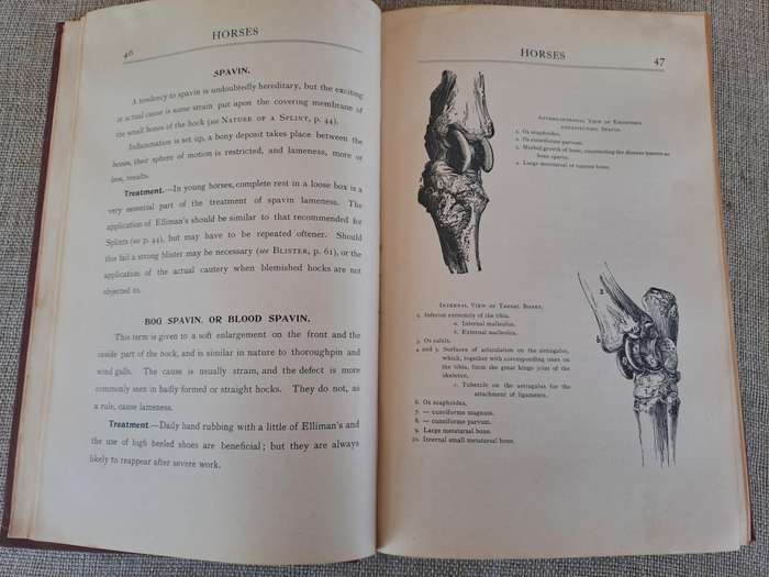 Animals treatment First Aid: Horses Dogs Birds & Cattle, The Elliman E.F.A. book