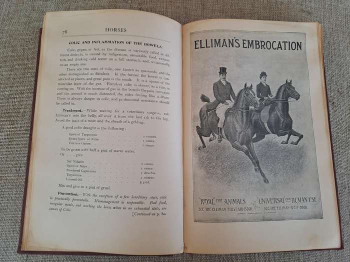 Animals treatment First Aid: Horses Dogs Birds & Cattle, The Elliman E.F.A. book