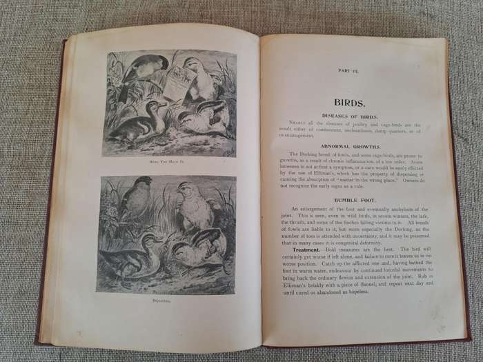 Animals treatment First Aid: Horses Dogs Birds & Cattle, The Elliman E.F.A. book