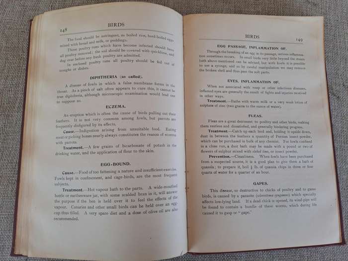 Animals treatment First Aid: Horses Dogs Birds & Cattle, The Elliman E.F.A. book