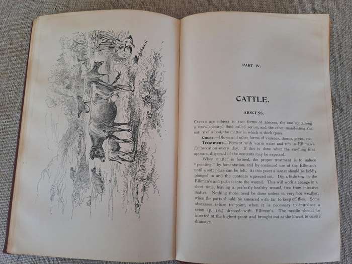 Animals treatment First Aid: Horses Dogs Birds & Cattle, The Elliman E.F.A. book