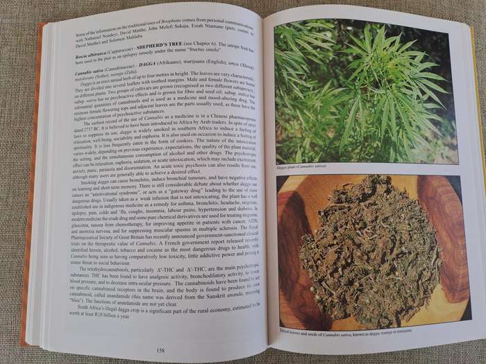 People's Plants: A Guide to Useful Plants of Southern Africa
