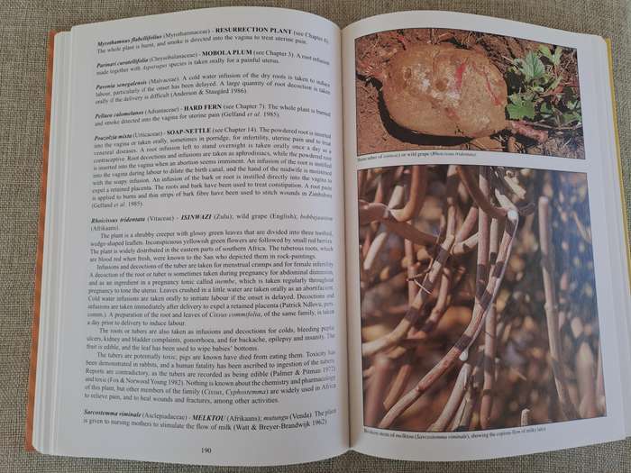 People's Plants: A Guide to Useful Plants of Southern Africa