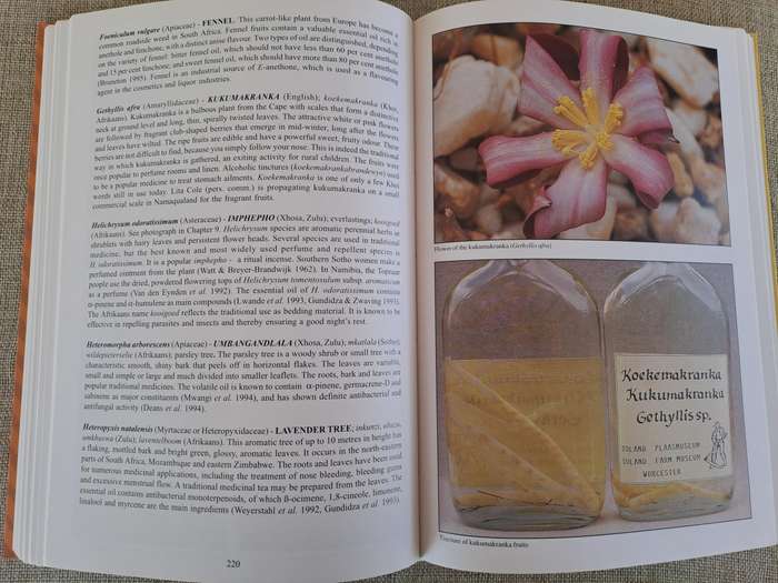 People's Plants: A Guide to Useful Plants of Southern Africa