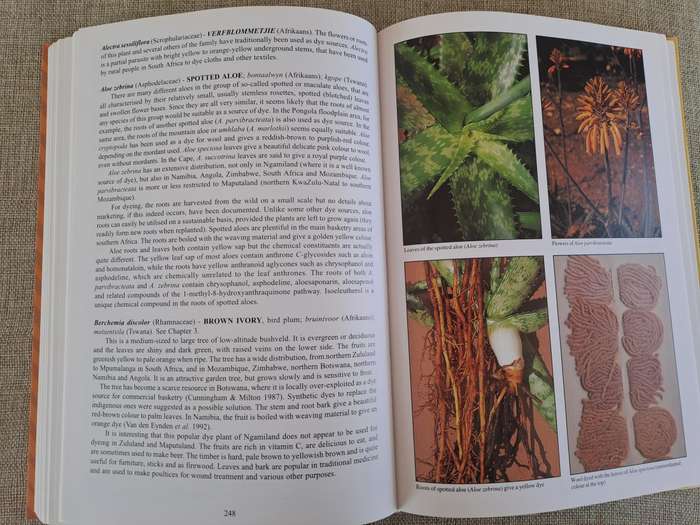 People's Plants: A Guide to Useful Plants of Southern Africa