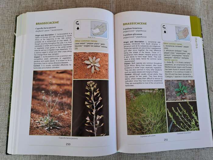 Problem Plants and Alien Weeds of South Africa - Clive Bromilow