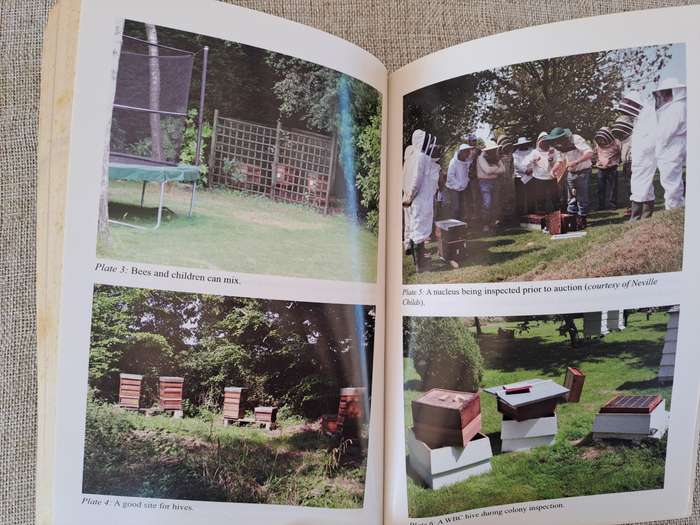 Beekeeping: A Practical Guide  Roger Patterson