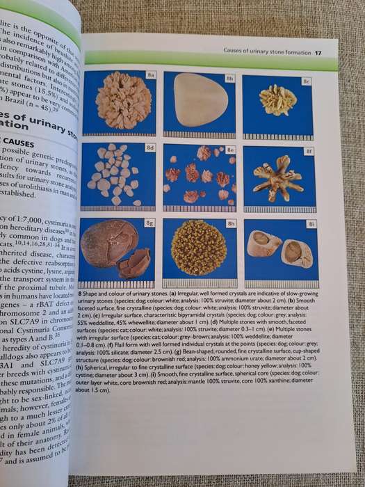Urinary Stones in Small Animal Medicine: A Colour Handbook