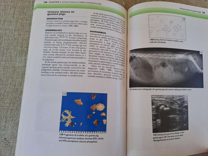 Urinary Stones in Small Animal Medicine: A Colour Handbook