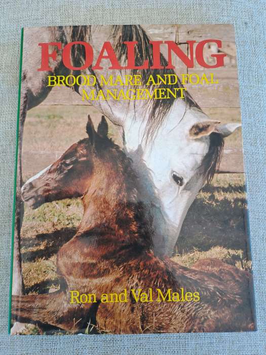 Foaling - Brood Mare and Foal Management