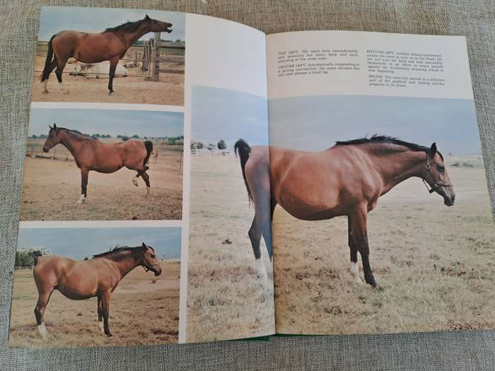 Foaling - Brood Mare and Foal Management