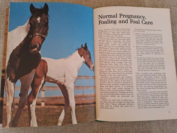 Foaling - Brood Mare and Foal Management