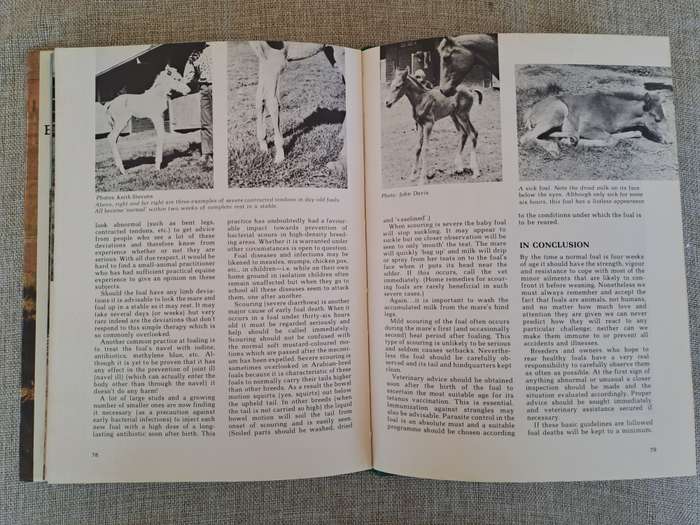 Foaling - Brood Mare and Foal Management