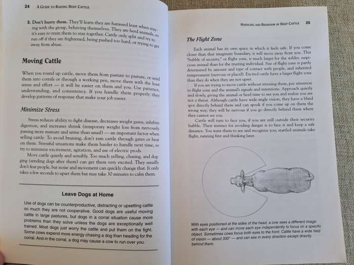 Storeys Guide to Raising Beef Cattle - Heather Smith Thomas