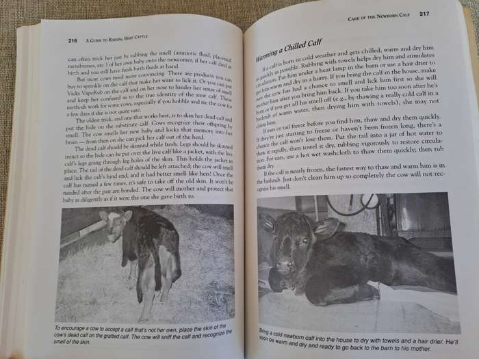 Storeys Guide to Raising Beef Cattle - Heather Smith Thomas