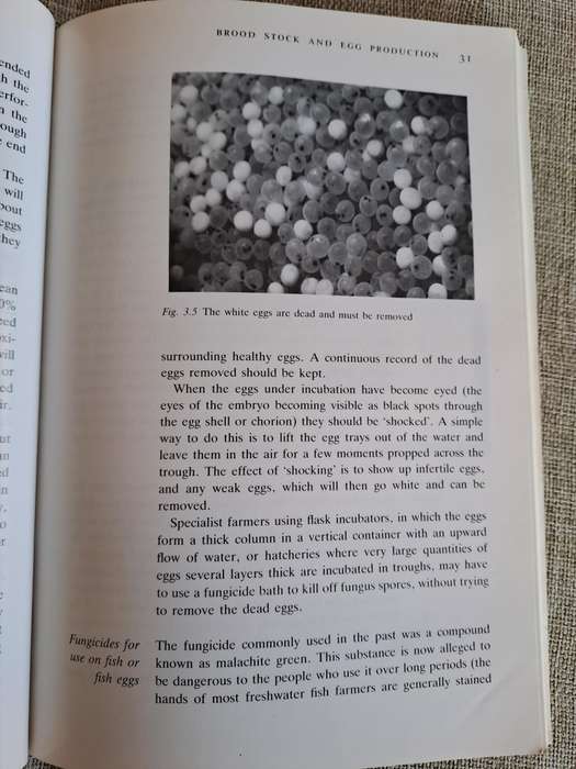 Trout Farming Handbook 5th Edition